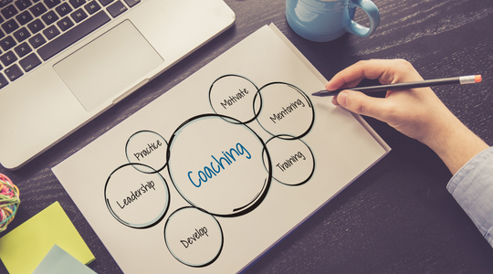 Kurumlara özel koçluk sistemleri